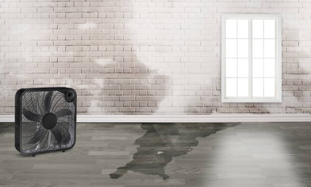 White Sands, NM Water damage restoration Company